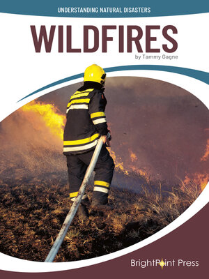 cover image of Wildfires